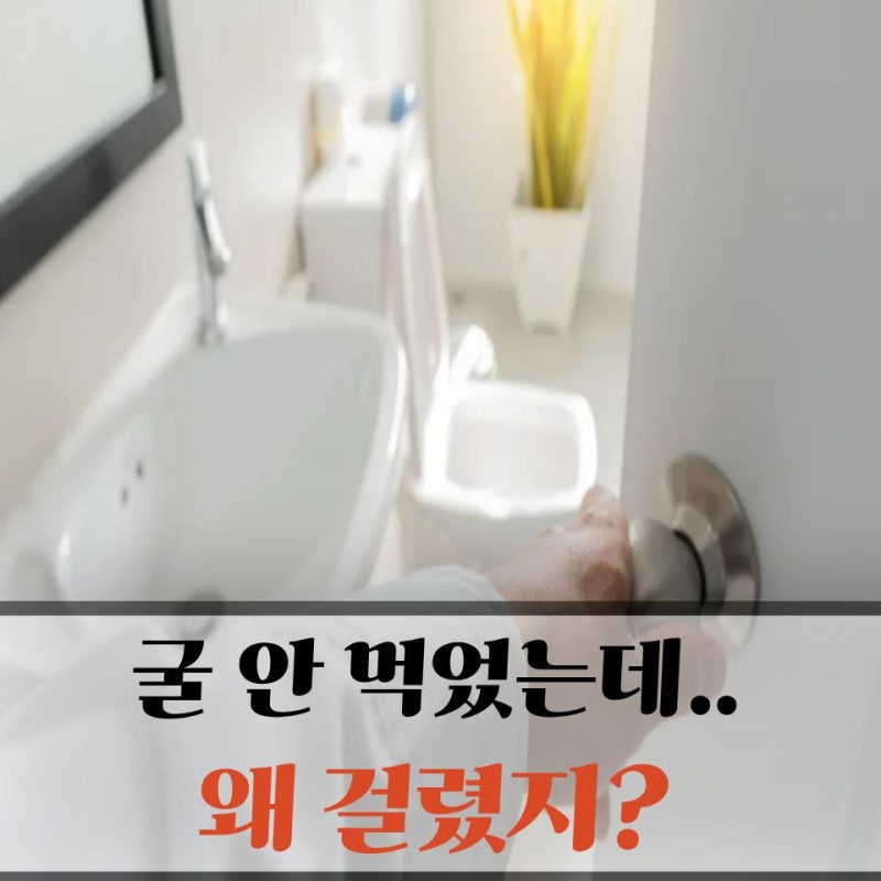 "굴 안 먹었는데 왜 걸렸지?" 노로바이러스 원인 알고보니 음식만이 아니었다