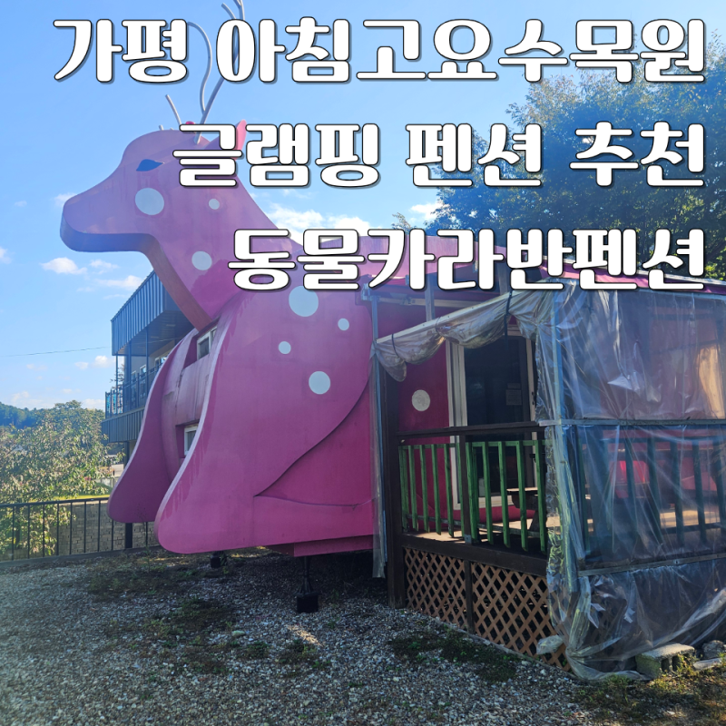 경기도 가평 계곡,글램핑,수영장 아침고요가족동물원 아이와 함께 동물카라반펜션 방문후기