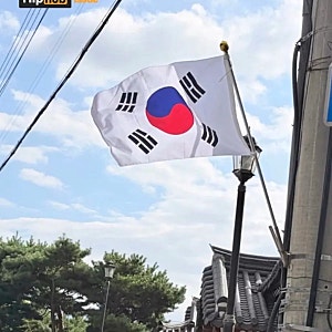 태극기 거꾸로 단 카페 _ 알고보니 배우 김규리 가족운영?