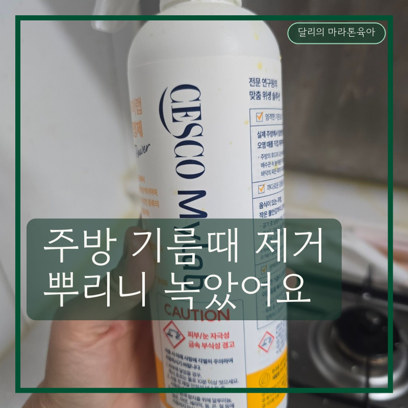 주방 기름때 아무리 닦아도 그대로였는데, 세스코 마이랩 뿌리고 싹 지웠어요