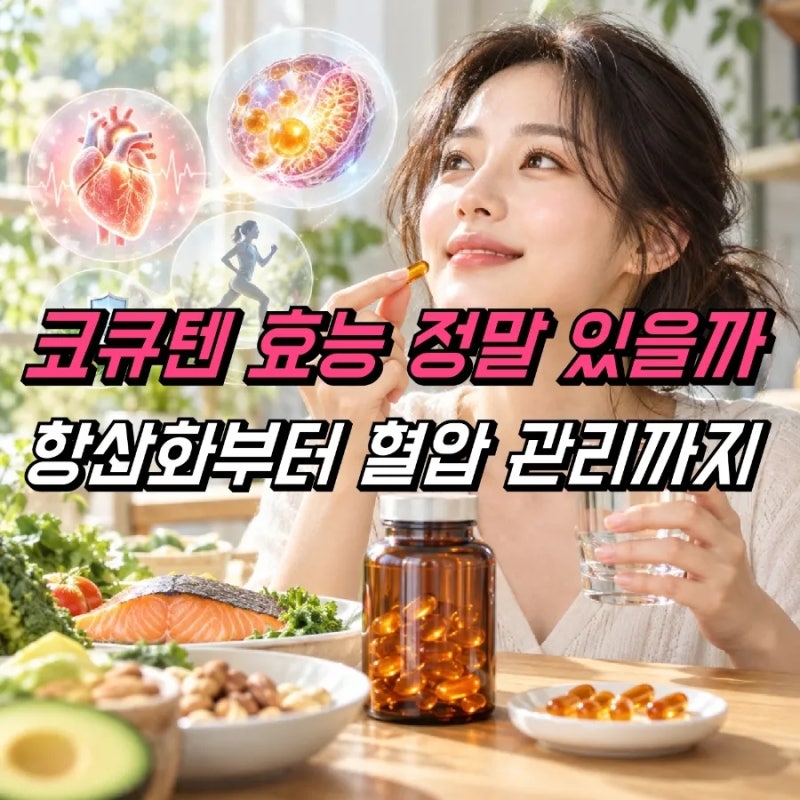 코엔자임 Q10 코큐텐 효능 부작용, 복용시간 식전 식후