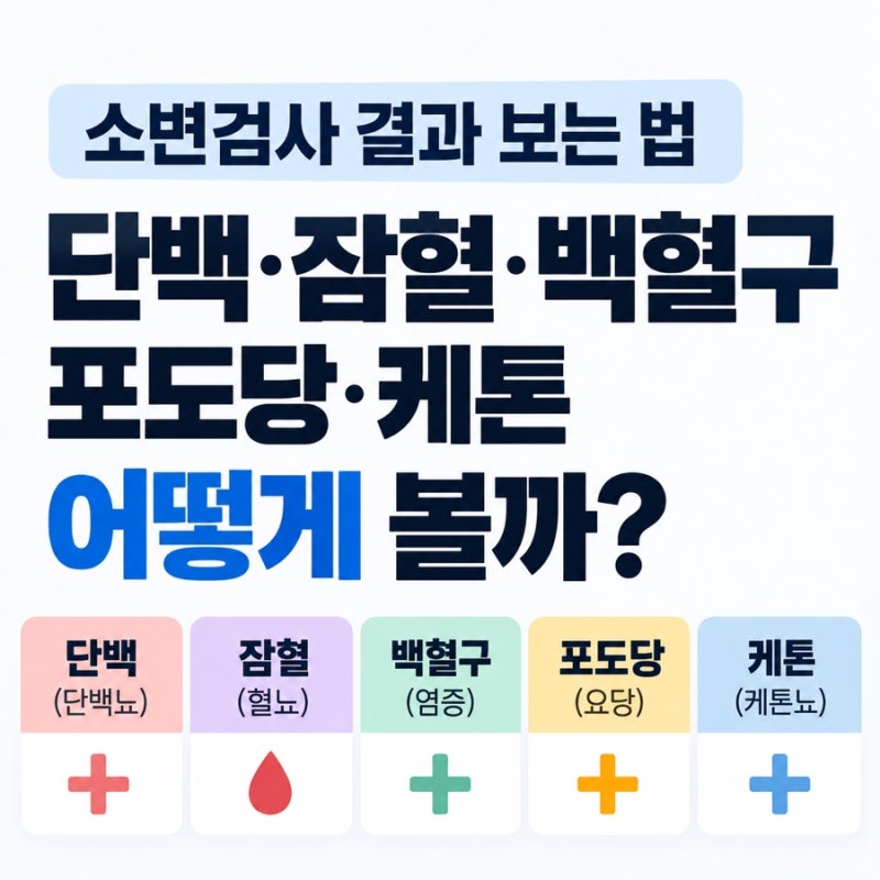 소변검사 결과 보는 법｜단백·잠혈·백혈구·포도당·케톤 어떻게 볼까?