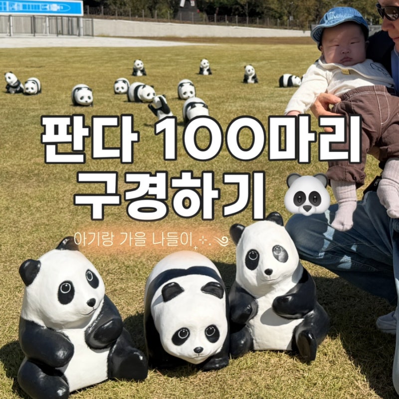 과천에 판다 100마리가 왔어요, 국립과천과학관 전시 첫날 아기랑 나들이