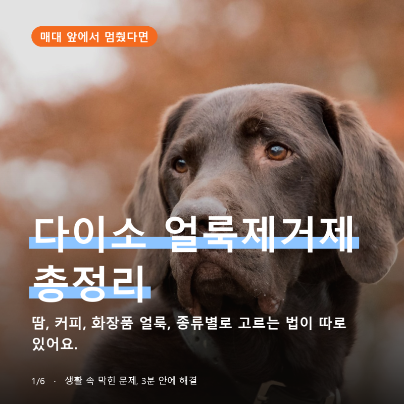 다이소얼룩제거제 종류와 한계 2가지