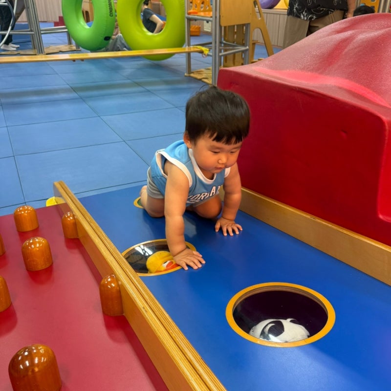 17개월 아기 짐보리 3개월 솔직후기 가격 부담에도 계속 다니는 이유