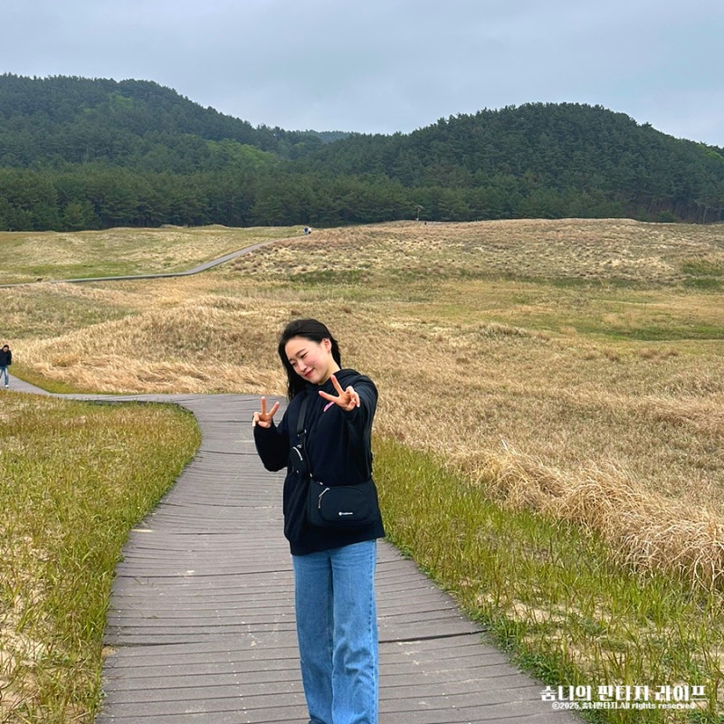 충남 태안 가볼만한곳 신두리해안사구 모래사막 코스 포토존