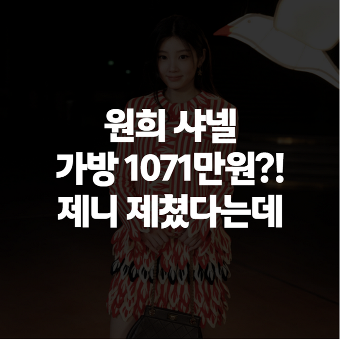 원희 샤넬 가방 가격 얼마길래? 아일릿 원희 샤넬 엠버서더설까지 총정리