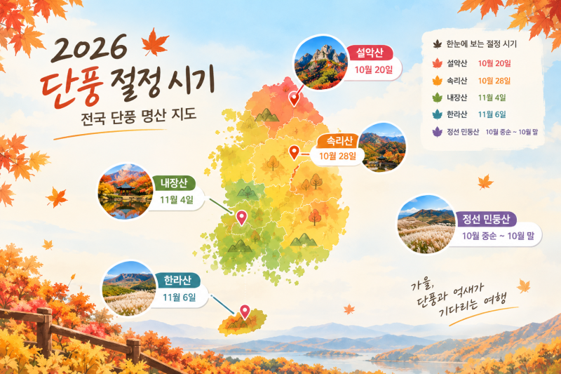 2026 단풍 절정 시기 총정리 – 설악산부터 정선 민둥산까지