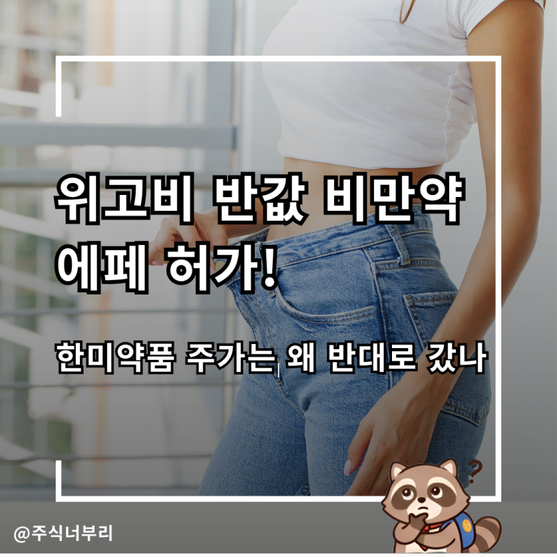 "위고비 반값 에페 허가" 비만치료제 관련주 한미약품 주가는 왜 반대로 갔나