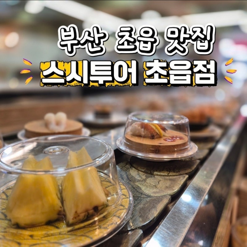 부산 초읍 연지동 맛집 [부담 없이 먹을 수 있는 스시 투어]