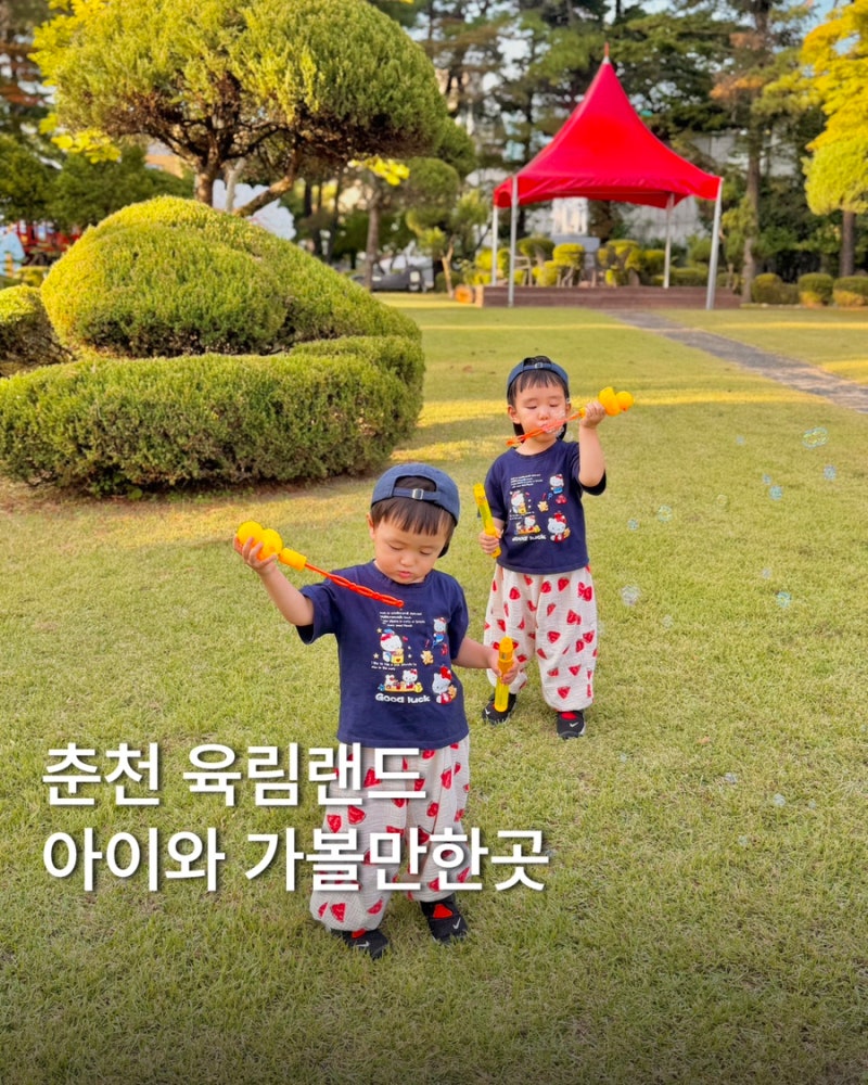 춘천 아이와 가볼만한곳｜춘천 육림랜드 놀이기구부터 동물까지 주말 나들이