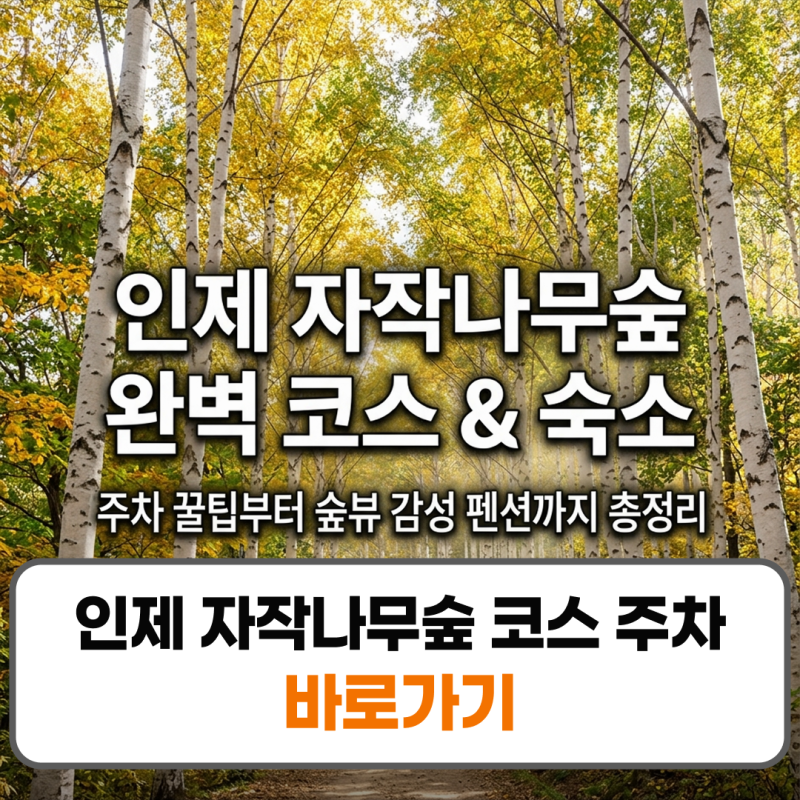 인제 자작나무숲 코스 주차장 숙소 펜션 완벽 가이드