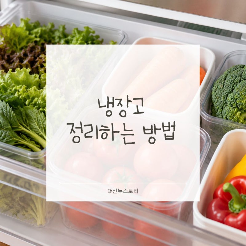 냉장고 정리하는 방법, 장보기 전에 확인하면 좋은 식재료 관리 팁 6가지