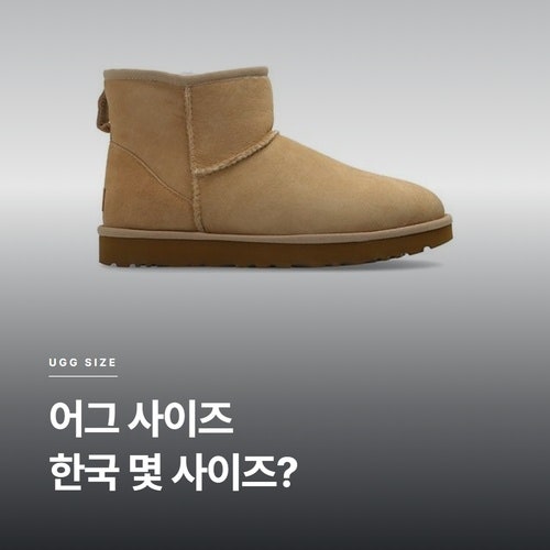 어그 사이즈 6 한국 몇 사이즈? 울트라 미니, 타스만 슬리퍼 12만원대 정리