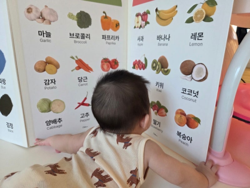 터미타임에 좋은 아기병풍 추천 유트러스 DIY 아기병풍 만들기