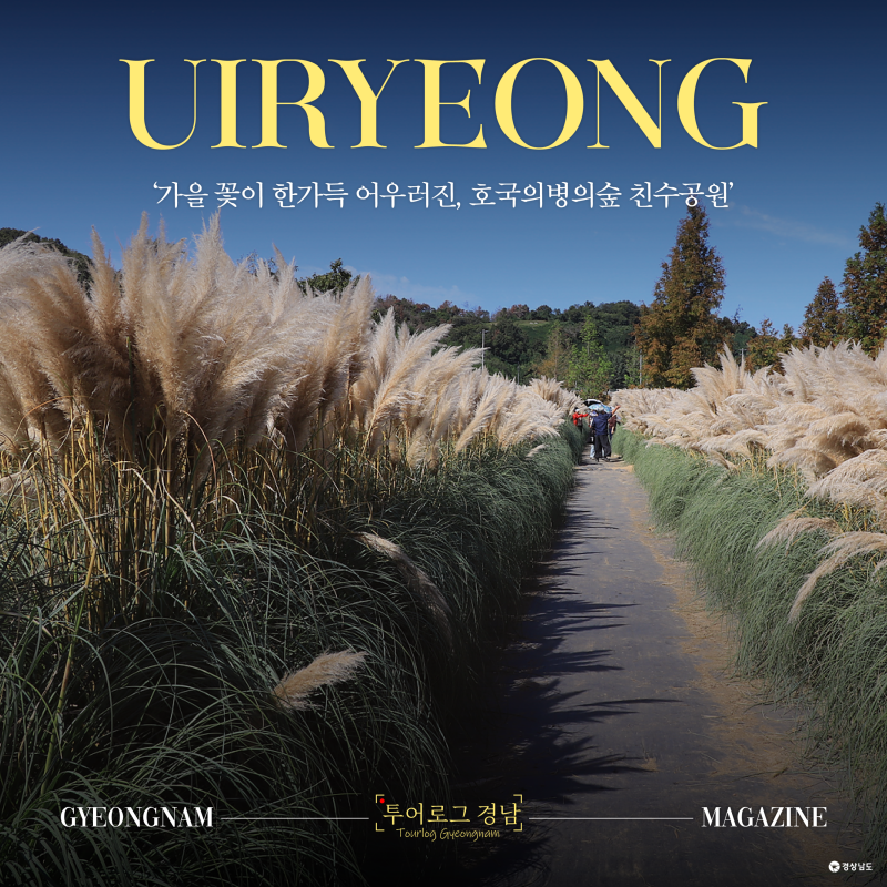 [경남/의령]의령 가볼 만한 곳 / 의령 가을 풍경 명소 / 가을꽃이 함께 하는 의령 호국 의병의 ....