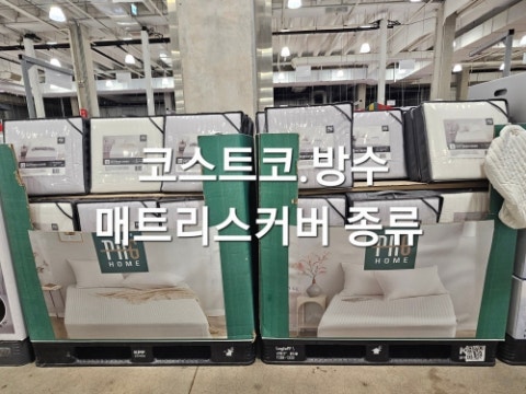 코스트코 방수 매트리스커버 종류 가격 비교 박홍근 홈패션 슈퍼싱글 퀸 사이즈