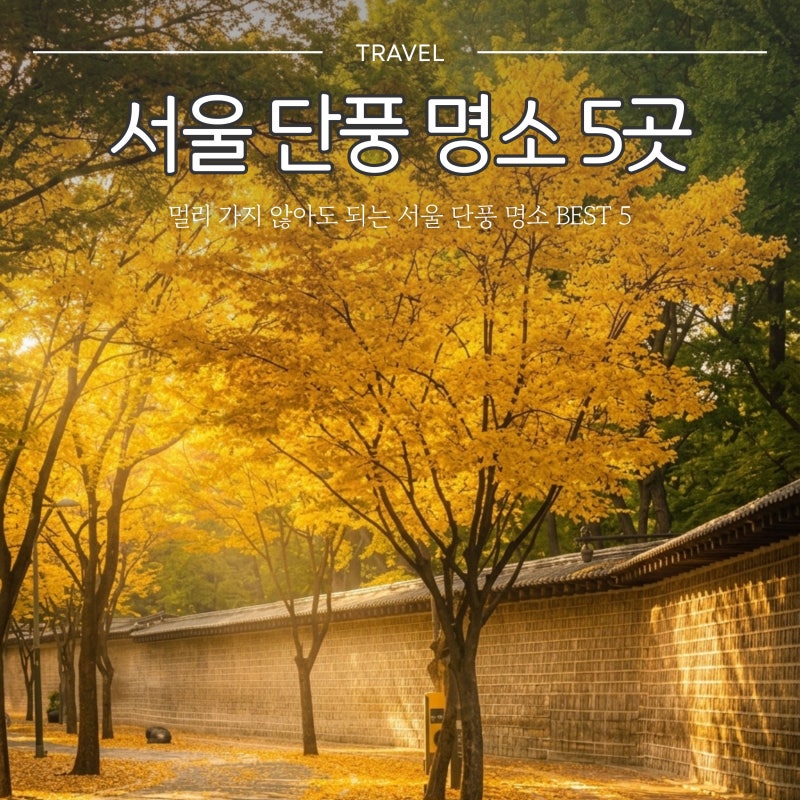 지하철로 가는 서울 단풍명소 5곳 | 단풍도 억새도 놓치지 않는 가을 산책 코스 5곳