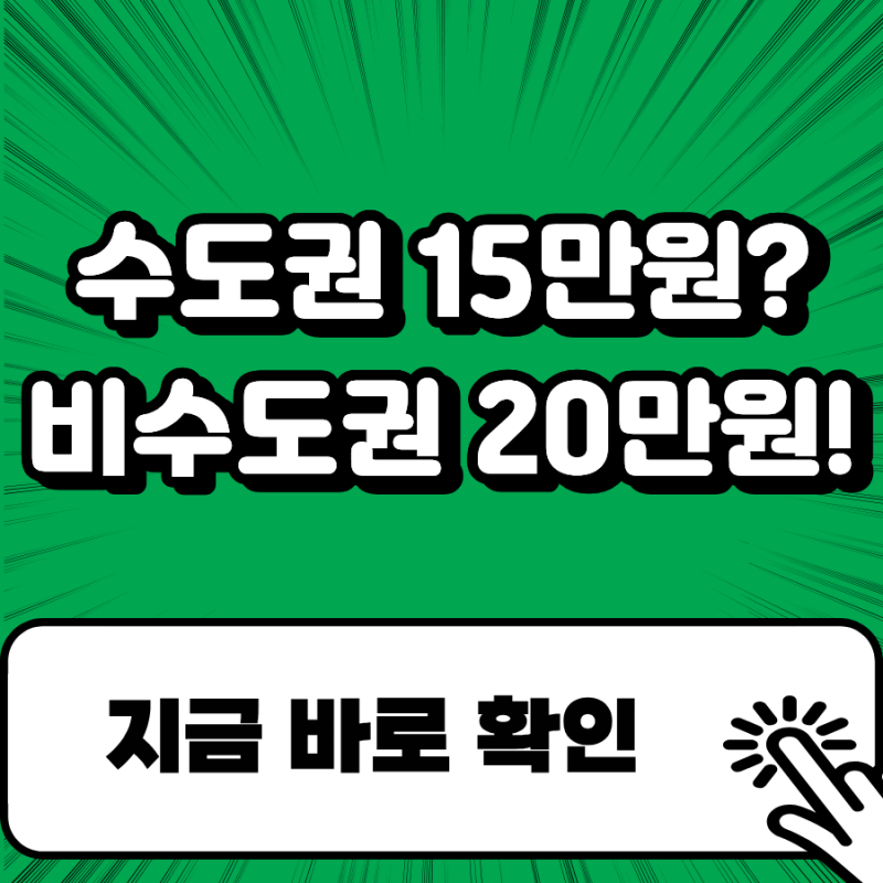 청년문화패스 수도권 15만원 비수도권 20만원?