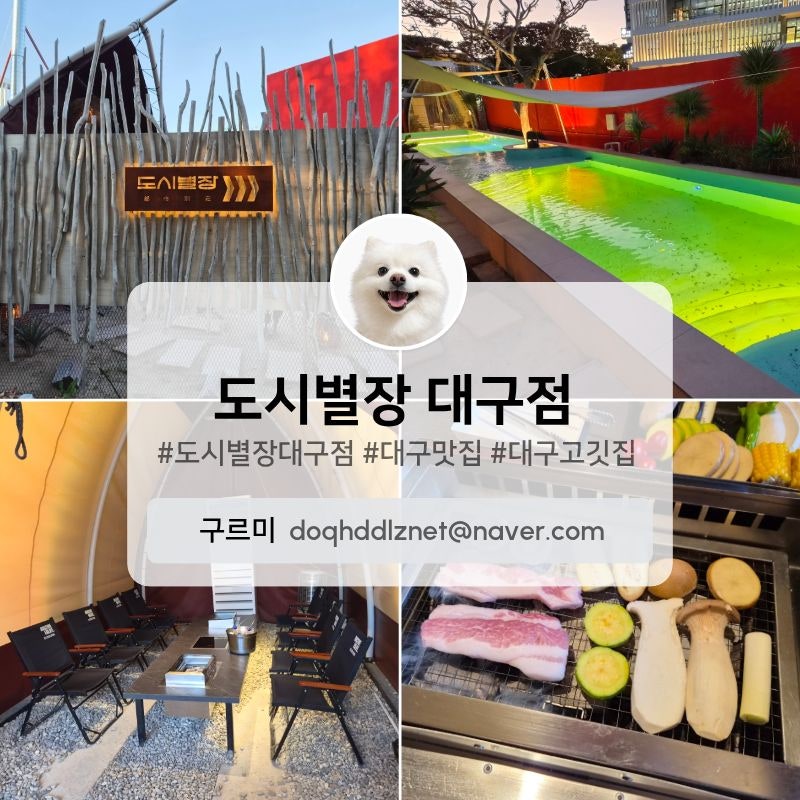 대구생일파티 장소 추천｜도시별장 대구점ㅣ프라이빗 바베큐장ㅣ이색데이트 후기