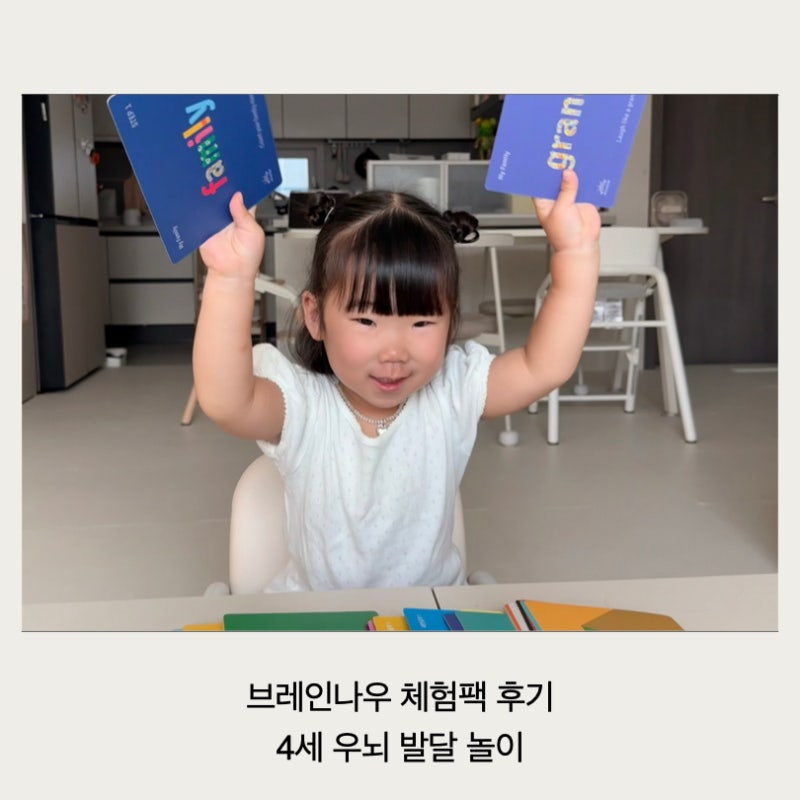 브레인나우 체험팩 후기 4세 우뇌발달 놀이, 한글 영어 한자 플래시카드 체험