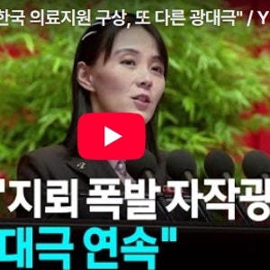 [속보] 북한 김여정 "한국 의료지원 구상, 또 다른 광대극" / YTN