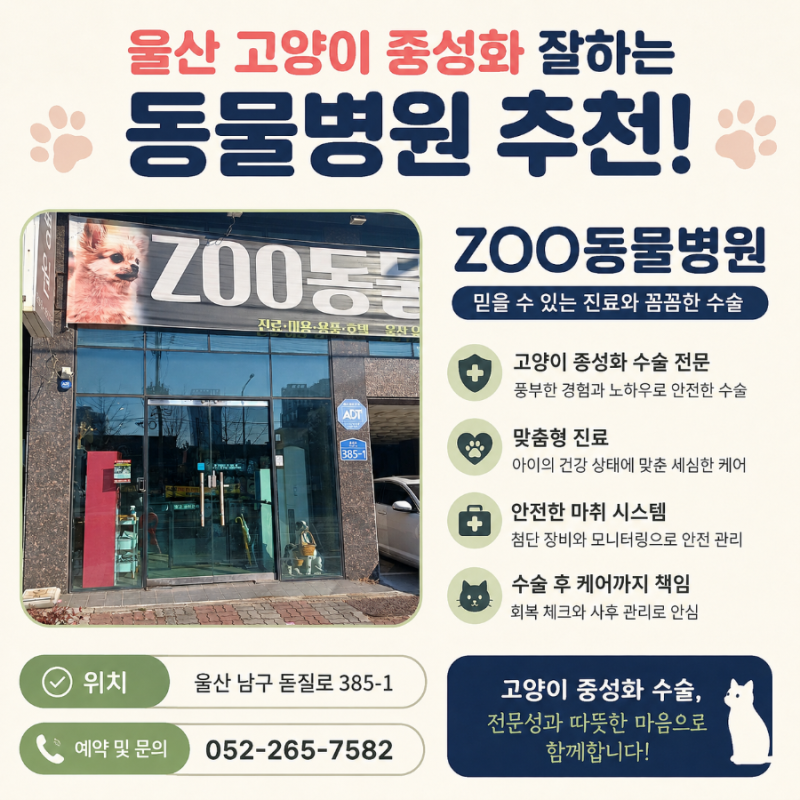 울산 길고양이 중성화 후기｜삼산동 길냥이 약 40마리, ZOO동물병원에서 수술받은 이야기
