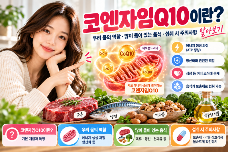 코엔자임Q10이란?｜우리 몸의 역할·음식·섭취 시 주의사항 알아보기