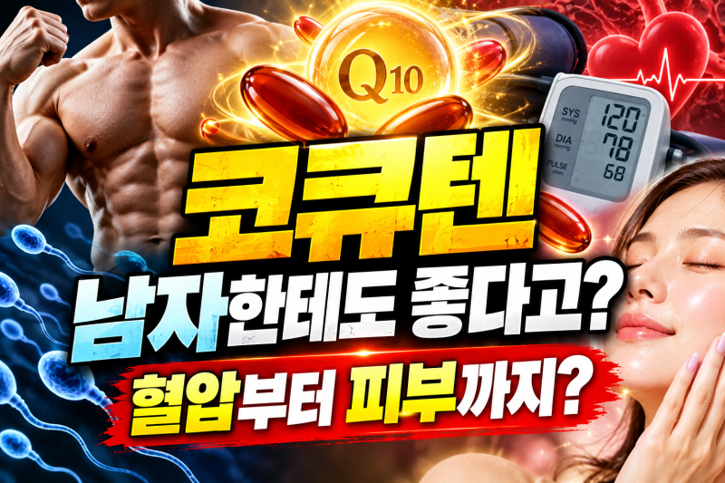 코큐텐 효능과 부작용 총정리｜혈압·남자·임신·피부 효과는?