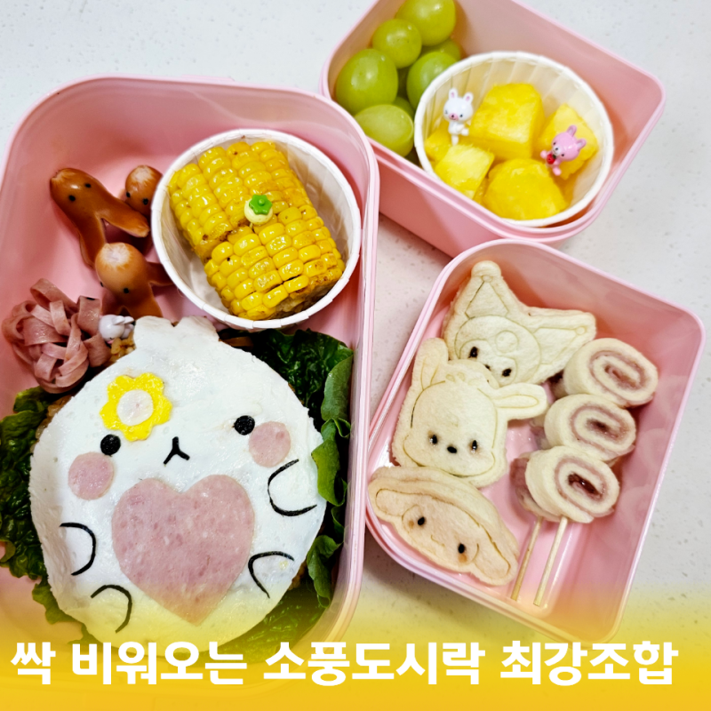 교사가 알려주는 어린이집 유치원 어린이 소풍도시락 메뉴 얌박스 속 최강조합