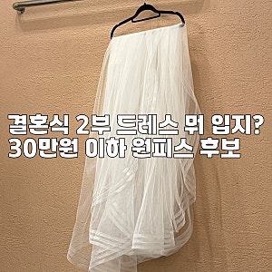 결혼식 2부 드레스 피로연때 입을 원피스 고르기 (브랜드 이바나헬싱키, 플로움)