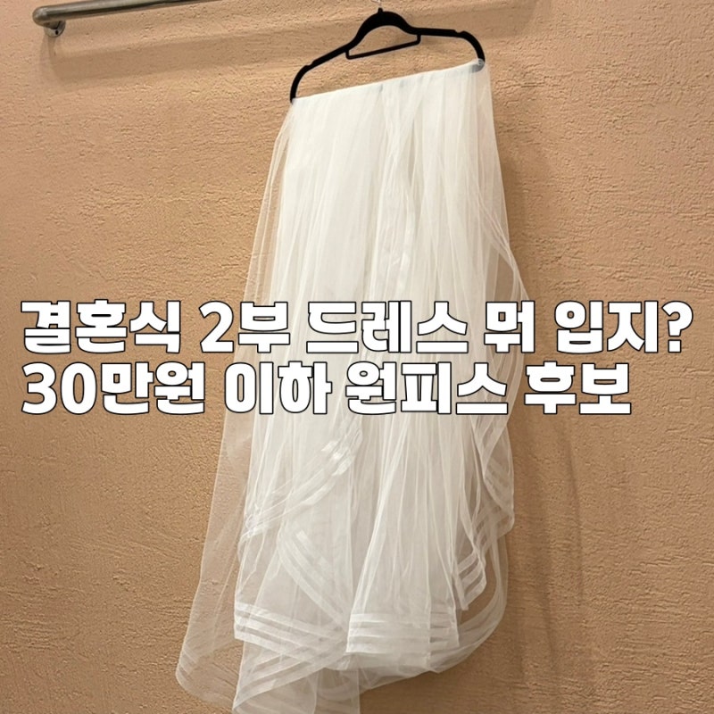 결혼식 2부 드레스 피로연때 입을 원피스 고르기 (브랜드 이바나헬싱키, 플로움)