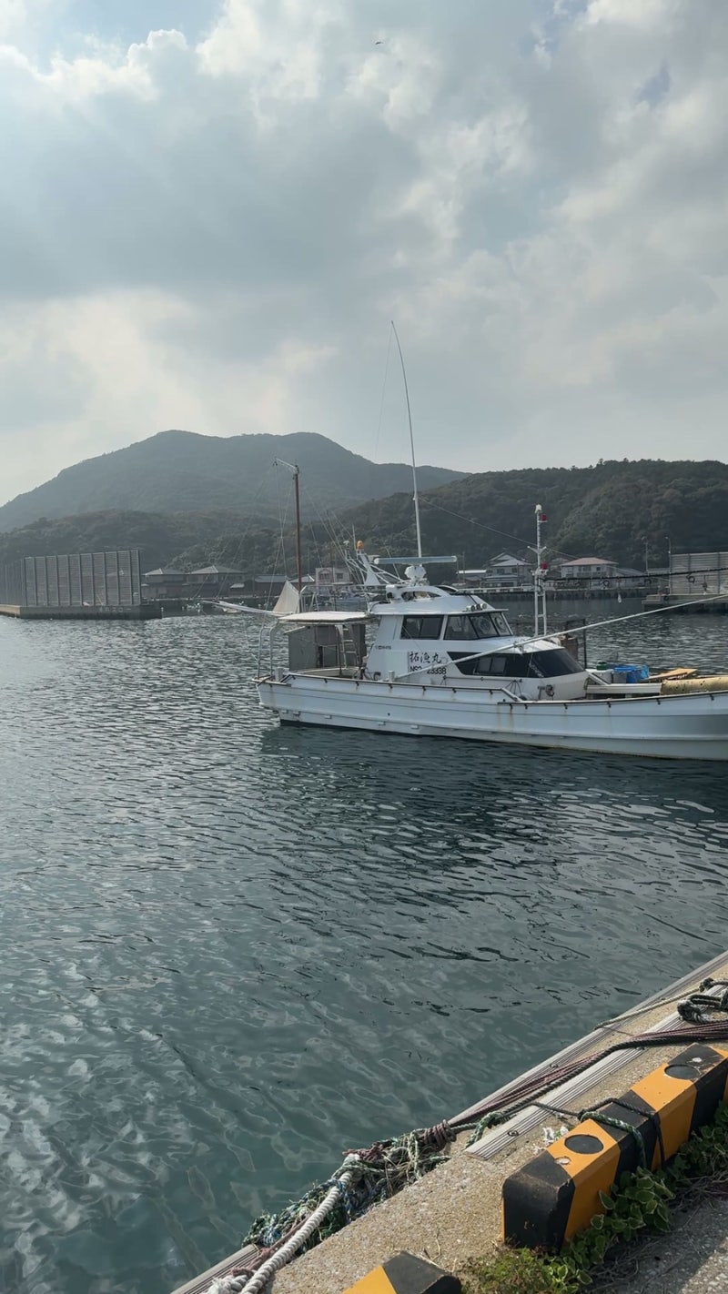 대마도 배 예약 부산 출발 히타카츠 여행 대마도 배편 탑승 후기 총정리