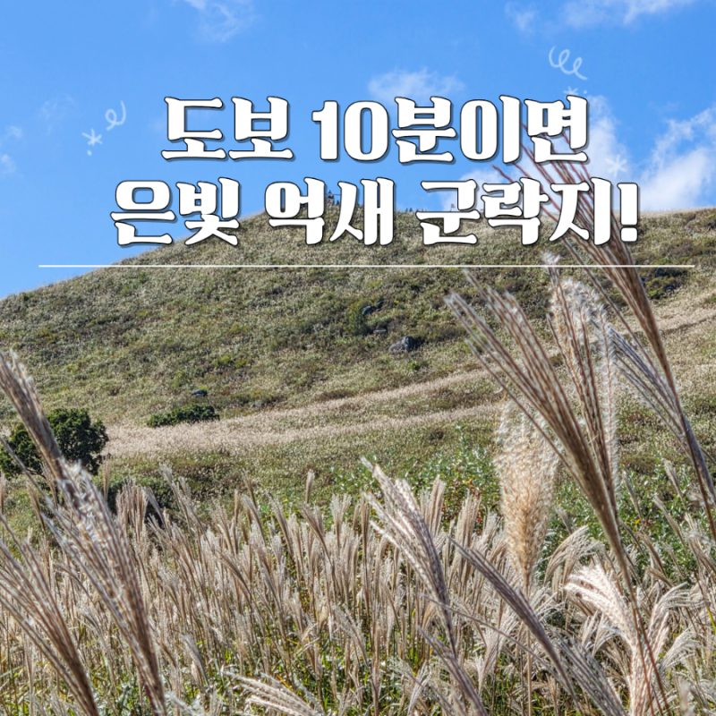 "벌써 은빛물결" 합천 황매산 억새축제 기간 군립공원 10월 가볼만한곳 주차장