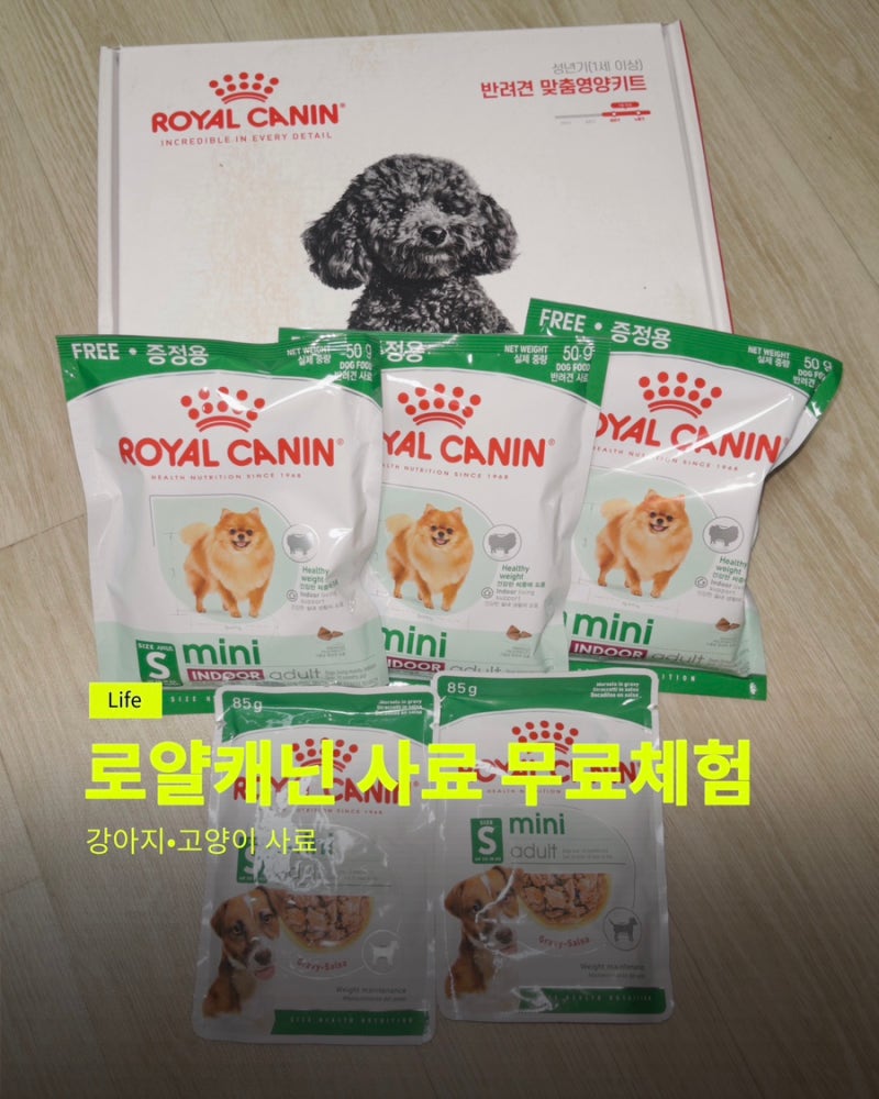 로얄캐닌 사료 무료체험 후기 | 0원으로 강아지•고양이 사료 받는 법