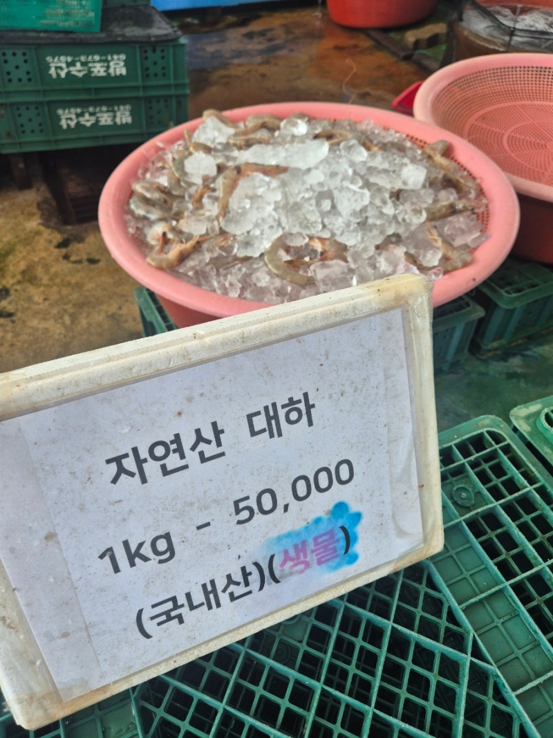 안면도에서 자연산 생물대하 직접 사봤더니… 2026년 10월 7일 남당항 말고 방포항 대하, 참소....