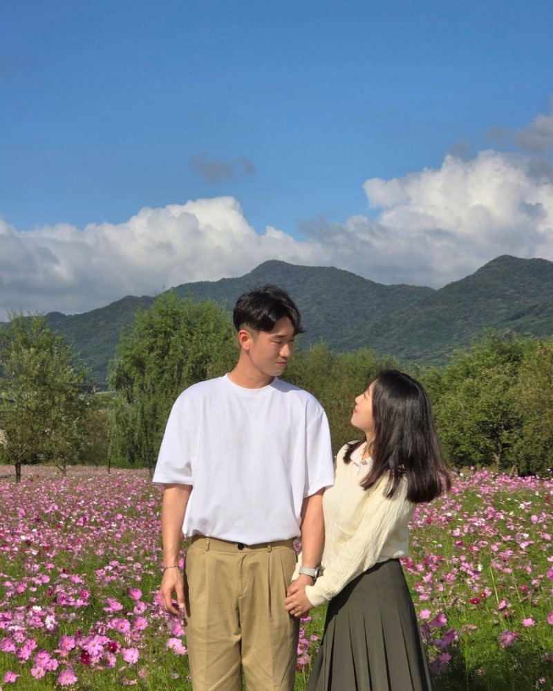 논산 가볼만한곳 대전 근교 가을 코스모스 여행 돈암서원