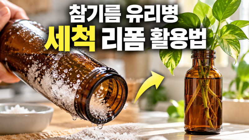 참기름 유리병 세척 방법과 수경재배 화병 리폼 활용법 총정리