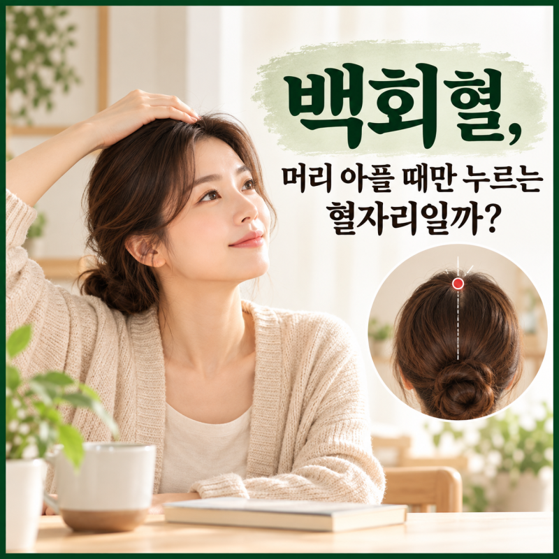 백회혈, 머리 아플 때만 누르는 혈자리일까? — 머리 꼭대기의 혈자리가 전신에 폭넓게 쓰이....