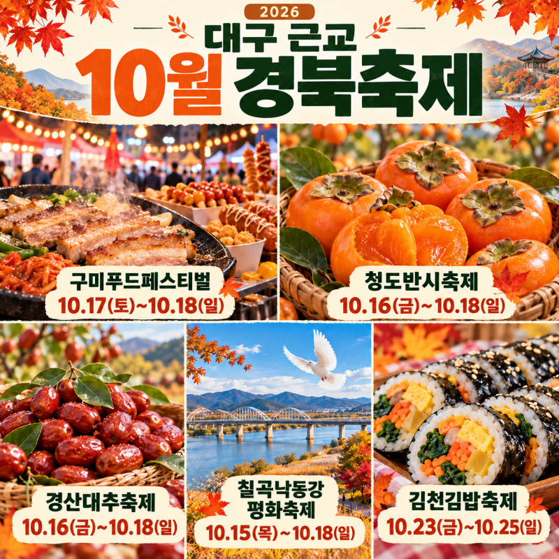 대구 근교 10월 축제 추천! 2026 경북 가을축제 5곳 일정·장소 총정리