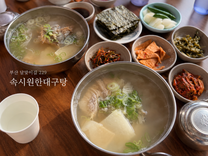 부산 해운대 달맞이길 맛집 속시원한대구탕 원조집 오픈런 후기