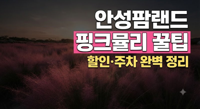 안성팜랜드 핑크뮬리 코스목동 축제 입장권 할인 및 주차 꿀팁 완벽 가이드