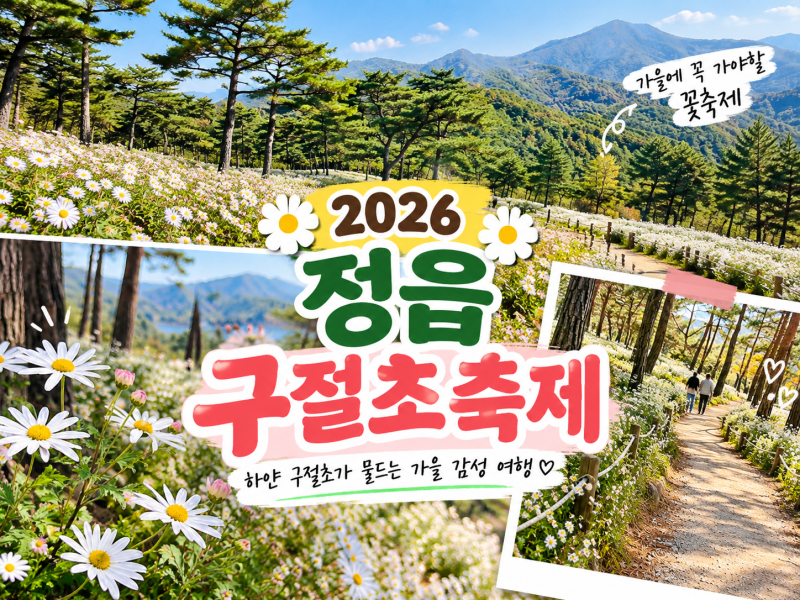 2026 정읍 구절초축제 날짜 셔틀 개막식 장소 정읍 가볼만한곳