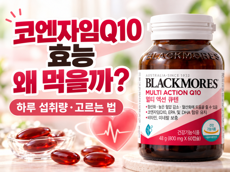코엔자임Q10 효능과 섭취방법｜코큐텐은 왜 먹을까? 하루 섭취량과 고르는 법