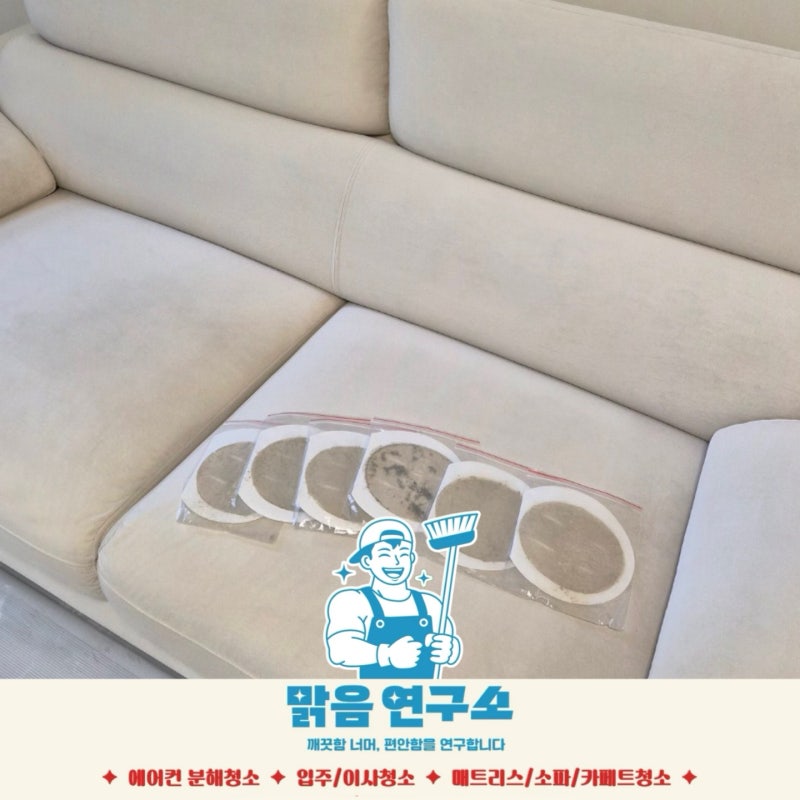 (대구소파청소)대구 사하라 소파 청소｜누렇게 변한 소파와 패드 6장에 나온 먼지