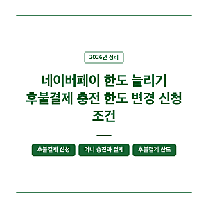 네이버페이 한도 늘리기 후불결제 충전 한도 변경 신청 조건