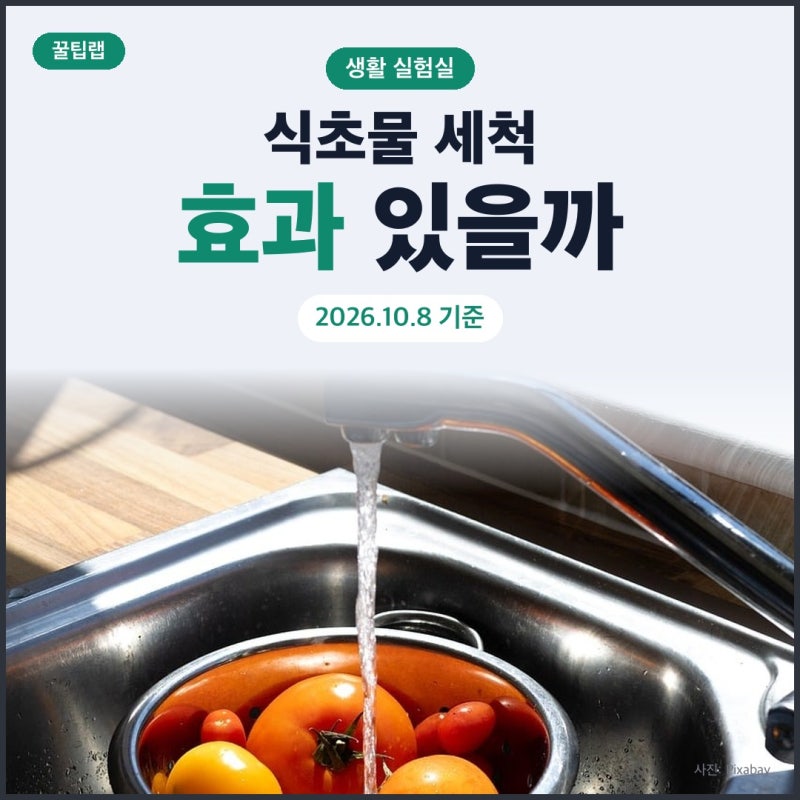 식초물로 과일 씻으면 농약 더 빠질까, 세척 실험 결과로 본 씻는 법