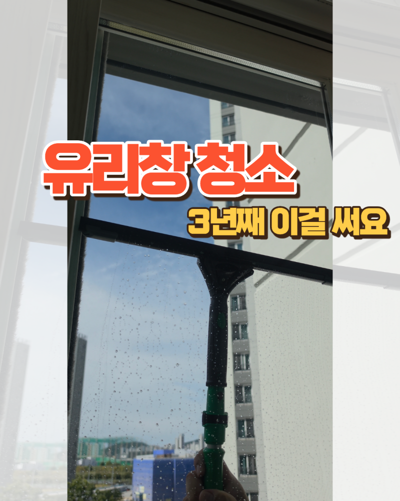 유리창 청소 미루던 제가 3년째 쓰는 도구