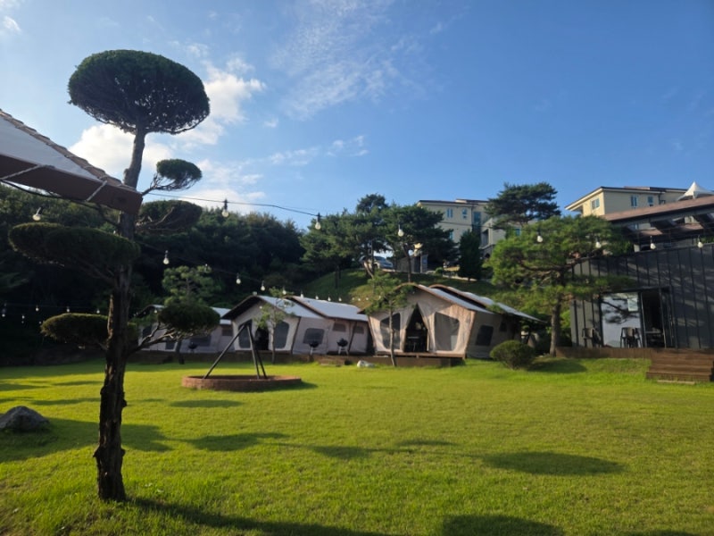 보령 글램핑 추천｜아기랑 다녀온 더반힐글램핑 후기 번외바둑이네동물원까지