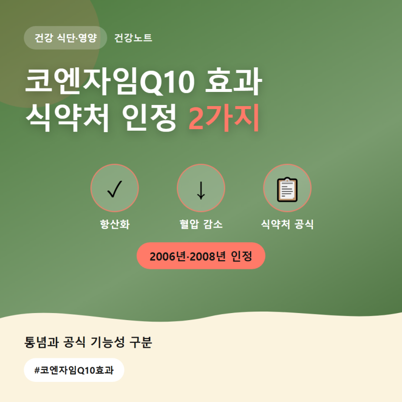코엔자임Q10 효과, 식약처가 공식 인정한 건 이 2가지예요